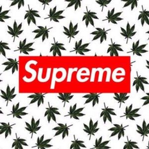 Meet your Posher, Bella